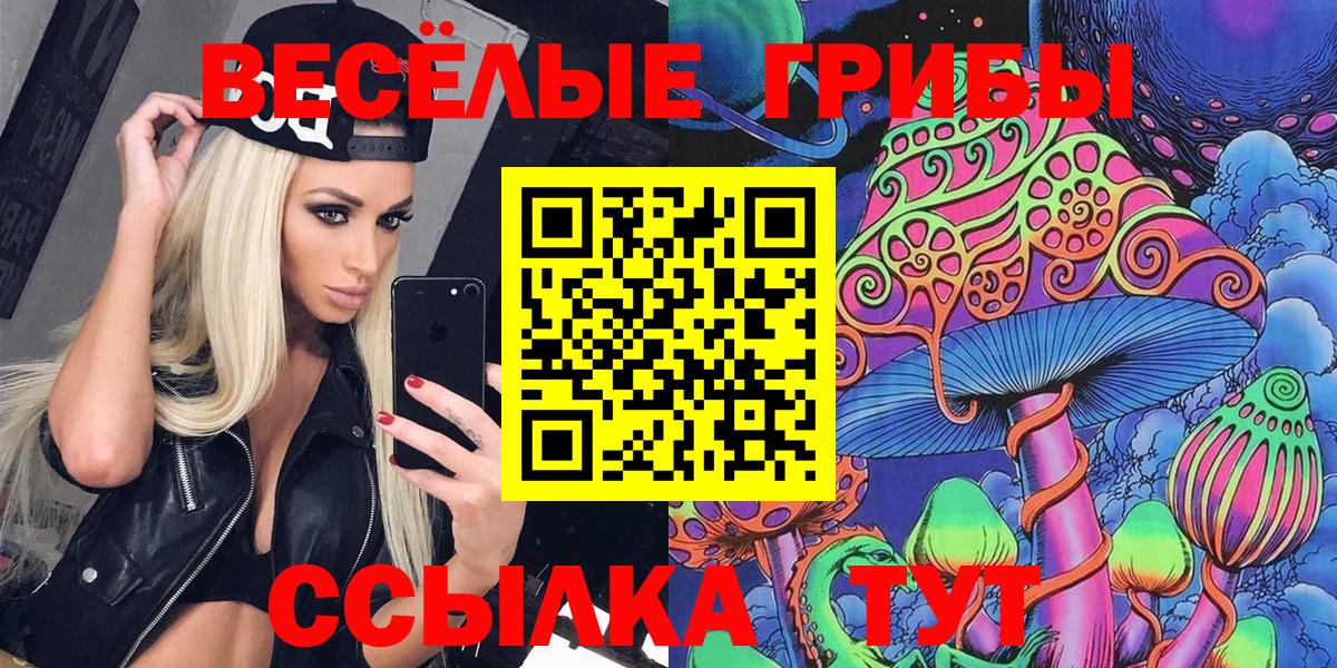 Галлюциногенные грибы мицелий Новочебоксарск